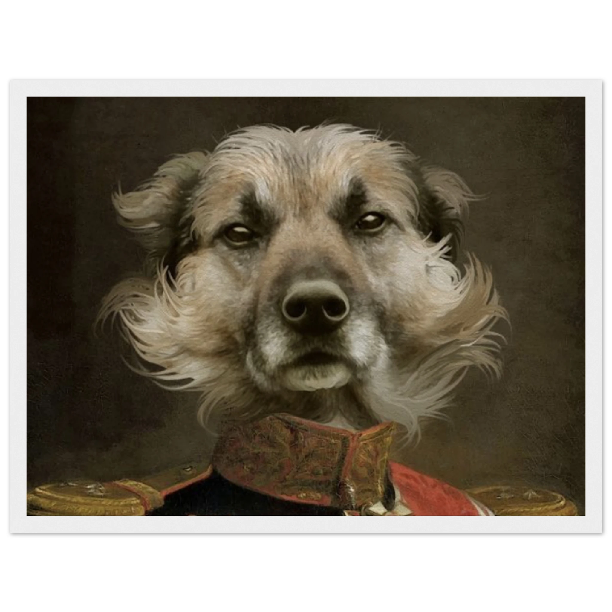 12926aae-6925-46c6-b49e-efcc173186a4