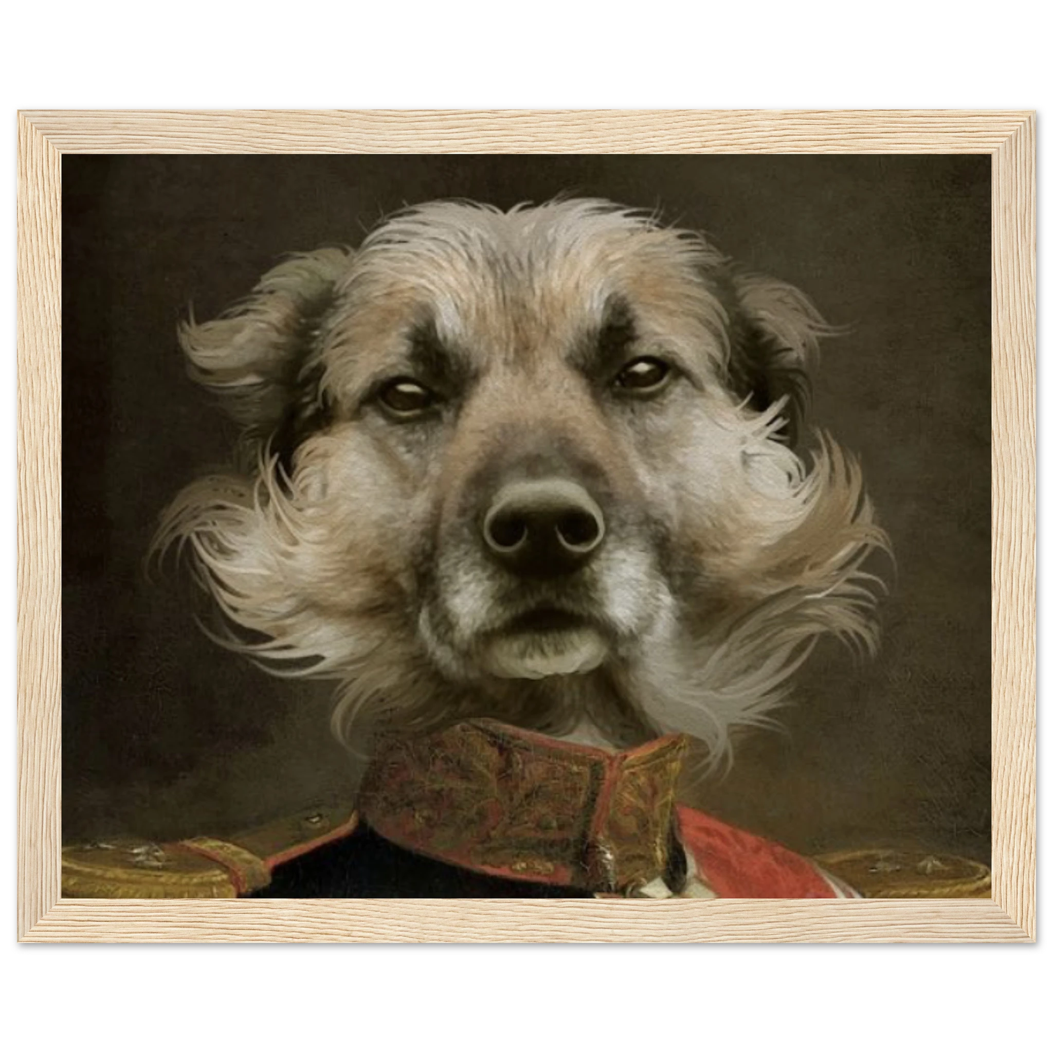 47397811-5776-4058-89d9-d0d9db3fee5f