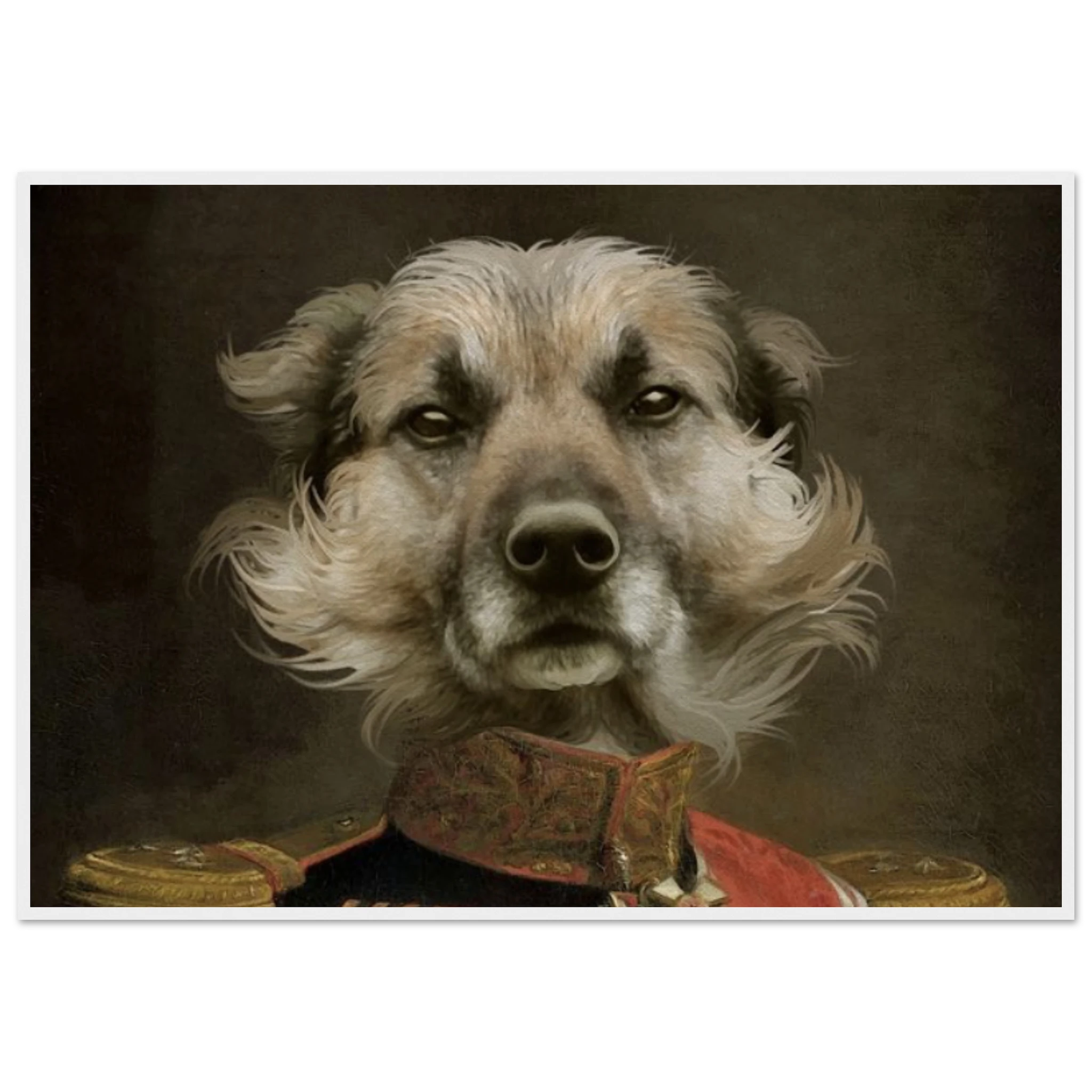 80b357a3-1cfe-4374-8e7a-29909e9d5170