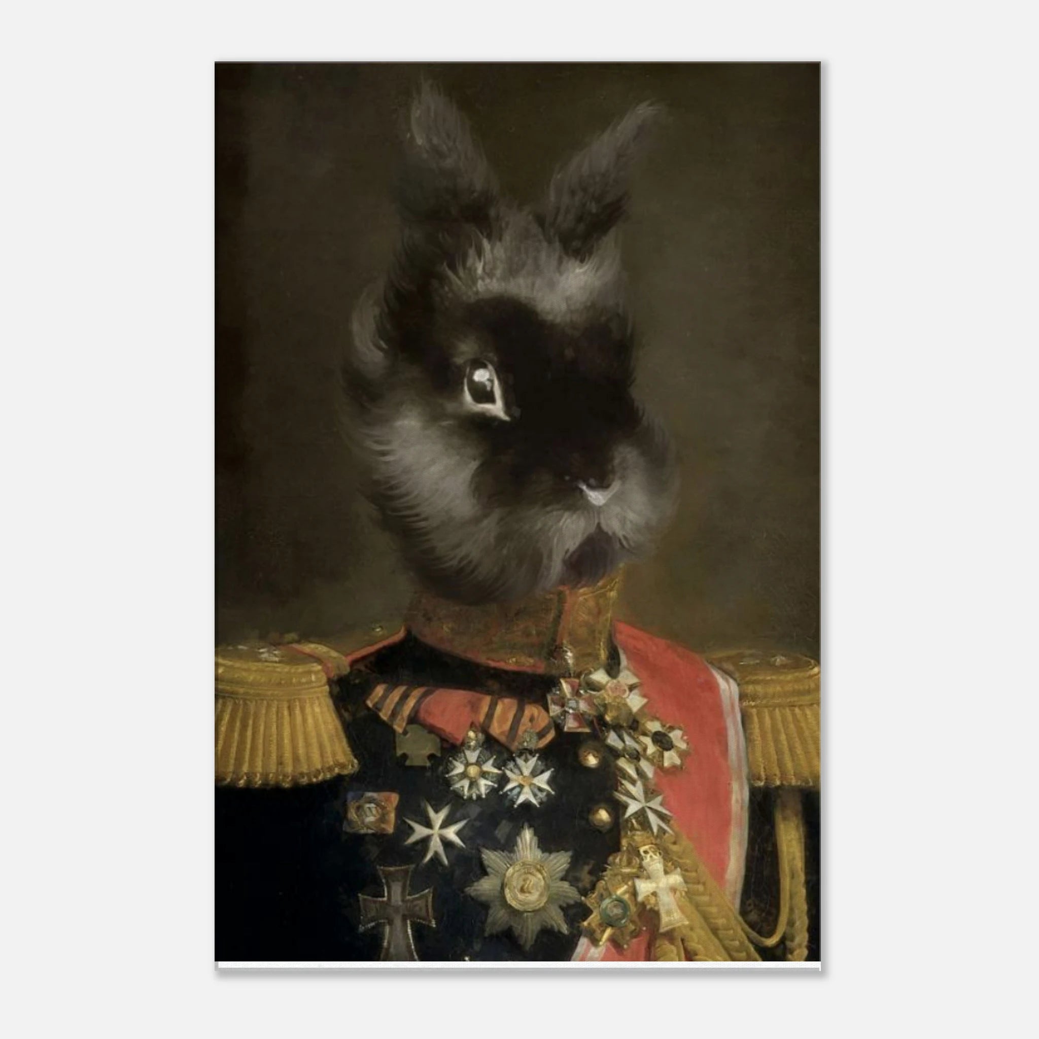 b91c9fcf-7814-4938-989b-cb43411c6bd6