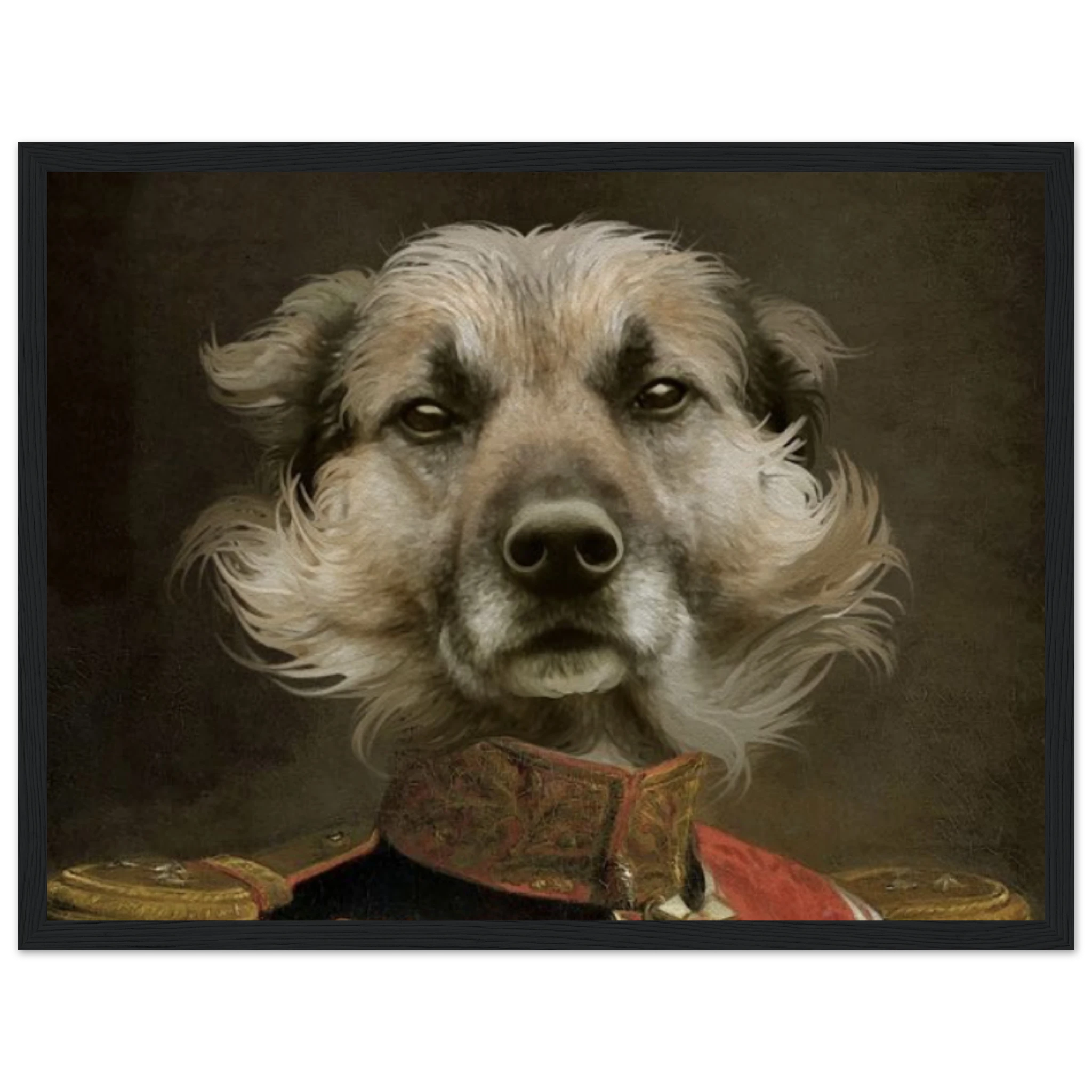 e66ee879-35aa-4830-bd9a-da5e032b0a04